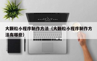资阳大颗粒小程序制作方法（大颗粒小程序制作方法有哪些）