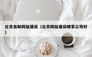 资阳北京自制网站建设（北京网站建设哪家公司好）