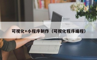 资阳可视化+小程序制作（可视化程序编程）